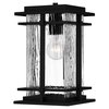 Quoizel McAlister 1-Light Earth Black Outdoor Hanging Lantern MCL1908EK